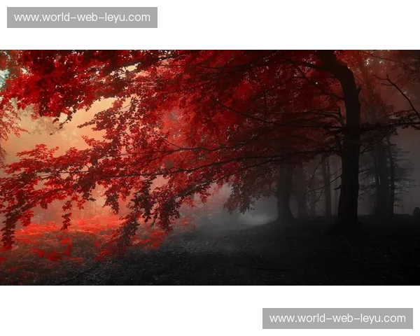 红蓝玫瑰的剑影刀光：南安普敦与曼联的恩怨情仇