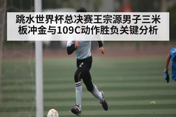 跳水世界杯总决赛王宗源男子三米板冲金与109C动作胜负关键分析